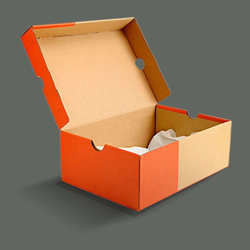 Cardboard Shoe Boxes